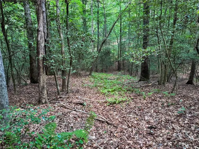 $47,900 | 0 Rainbow Trout Drive, Hays, NC 28635