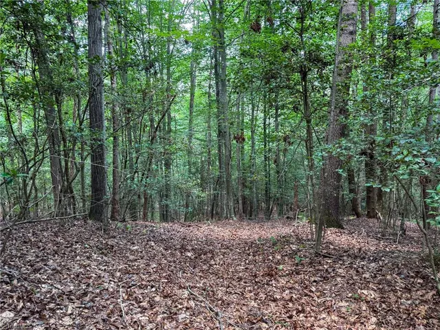 $47,900 | 0 Rainbow Trout Drive, Hays, NC 28635