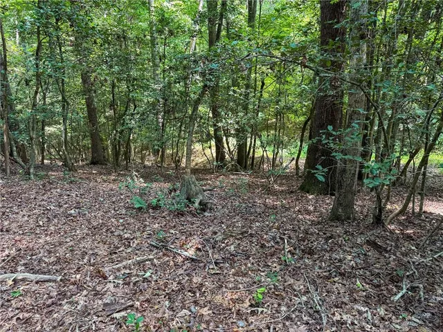 $47,900 | 0 Rainbow Trout Drive, Hays, NC 28635