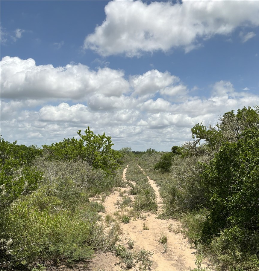 0 Private Road San Diego, TX 78384 - Photo 5 of 9