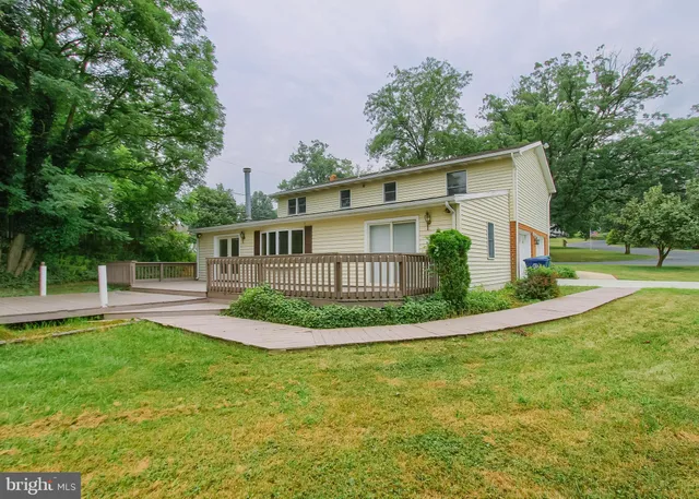 a view of a park with large trees