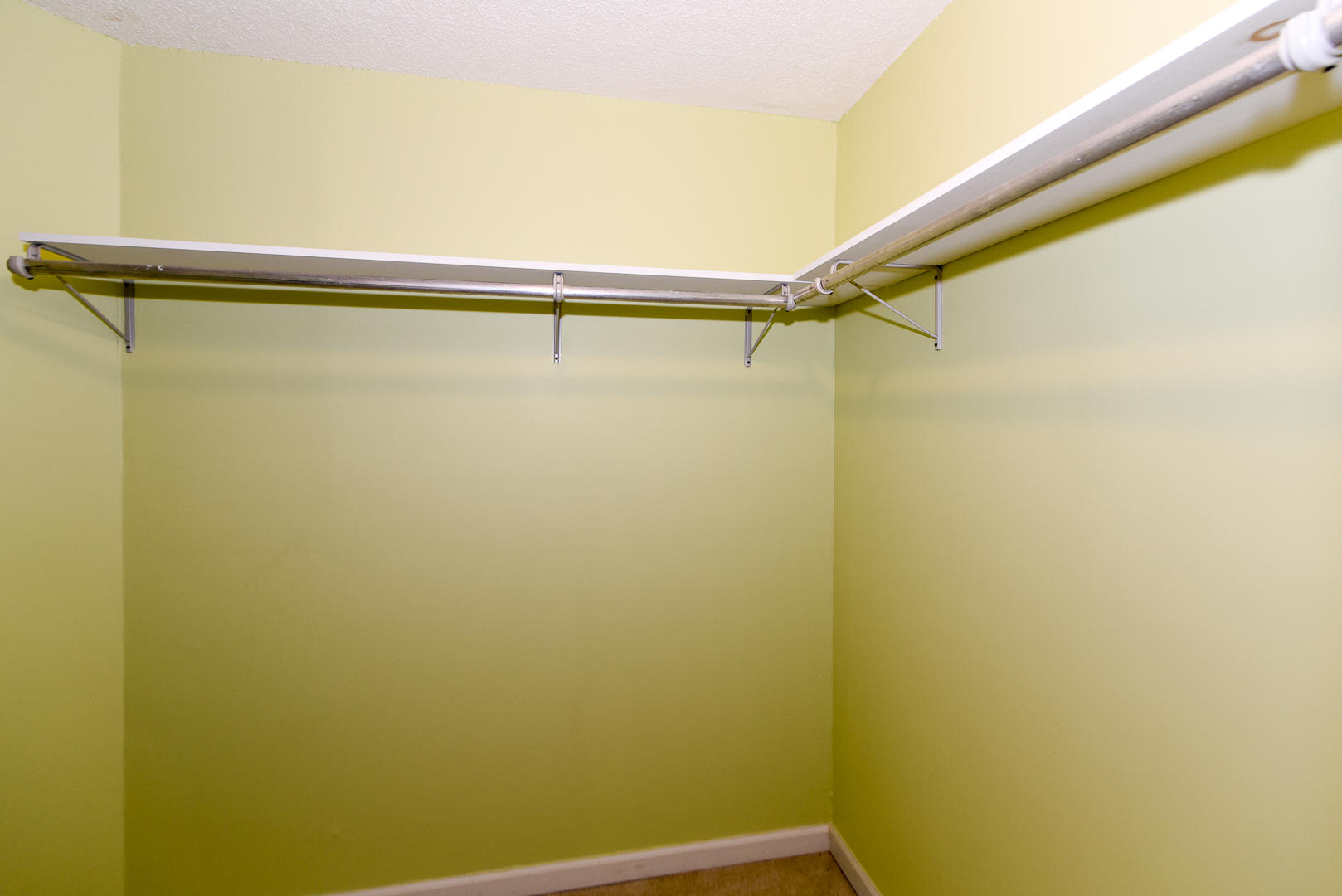 2008 Cochran Road Maryville, TN 37803 - Photo 30 of 36 Walk-in-closet