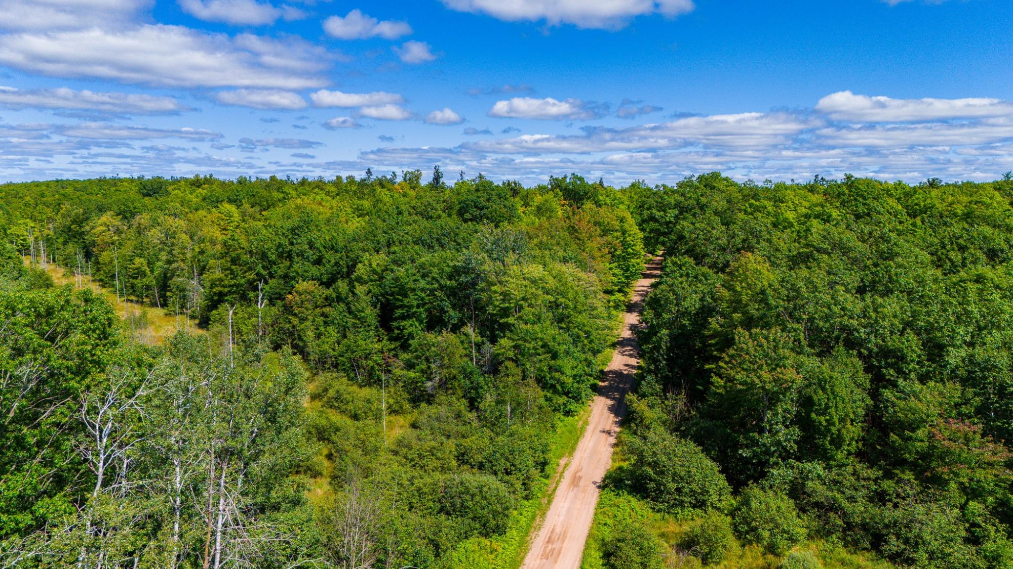 40-acres Ison Road Crandon, WI 54520 - Photo 4 of 31 Gallery Image 4