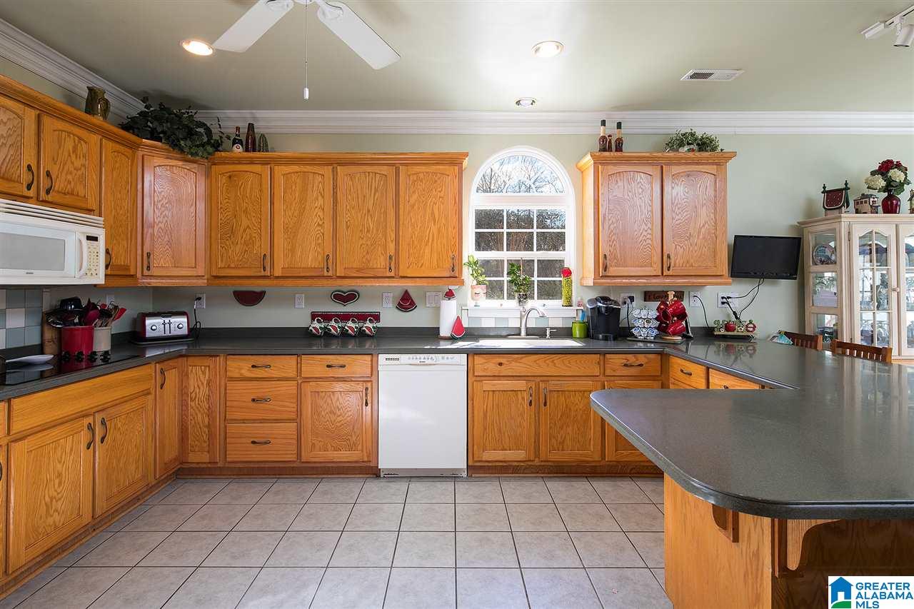 401 Lakeshore Loop Oneonta, AL 35121 - Photo 7 of 46