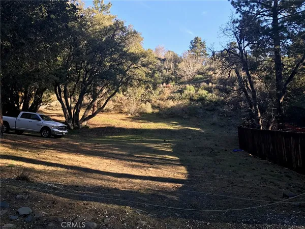 a view of yard with tree
