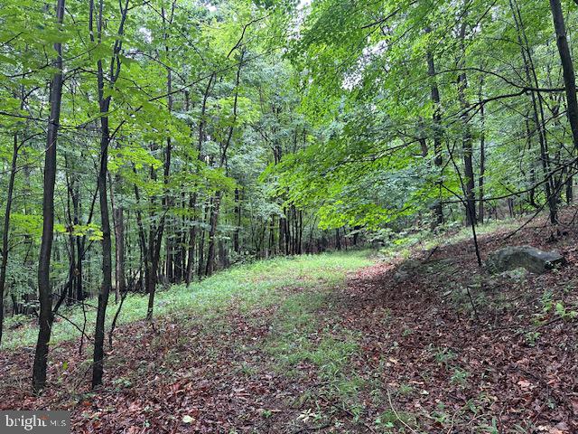 Lot 61 High Mountain View Road Romney, WV 26757 - Photo 6 of 9