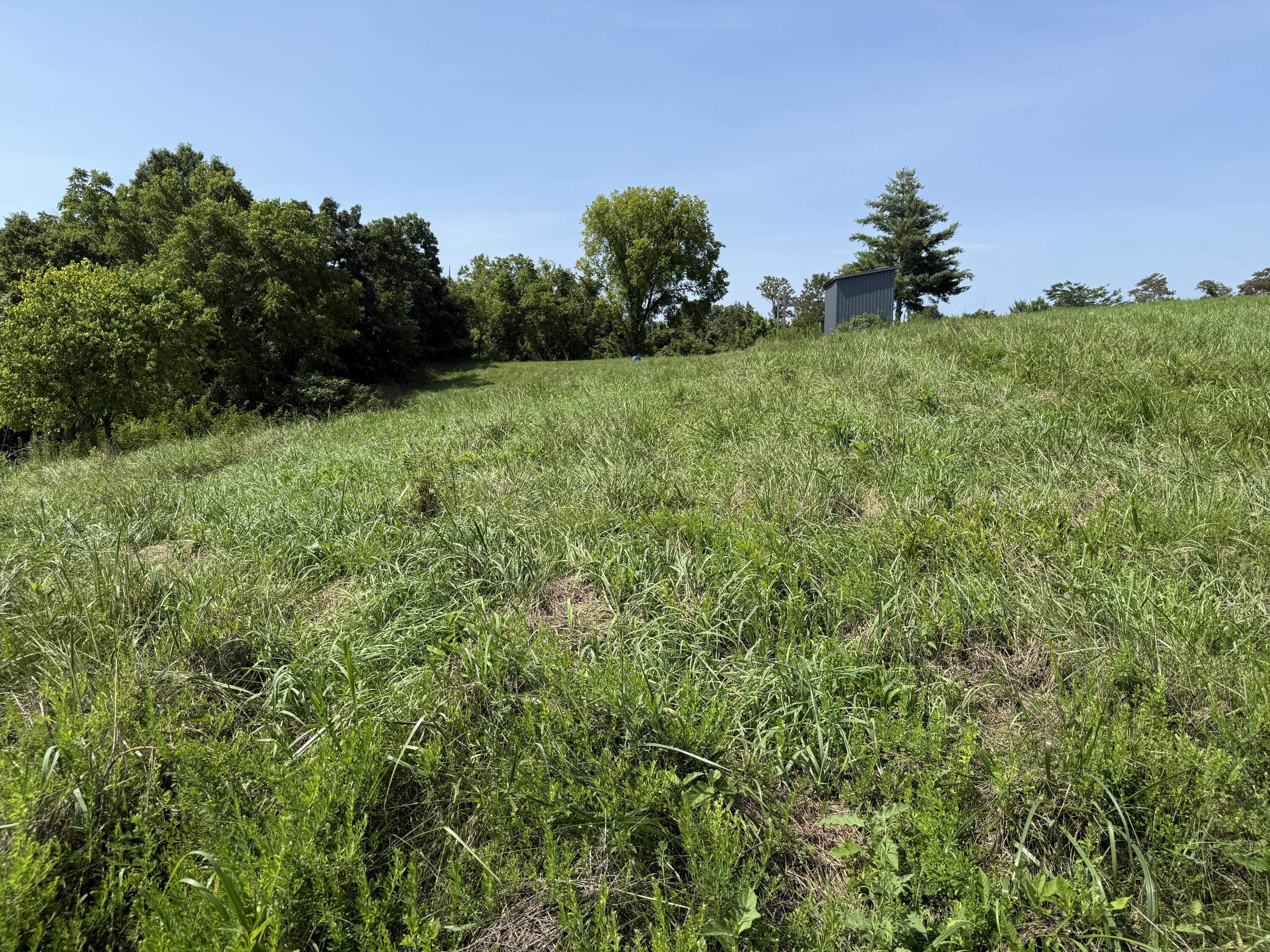 0 Goldsvalley Road Dry Ridge, KY 41035 - Photo 15 of 50