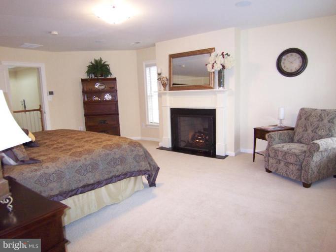 311 Riley Street Falls Church, VA 22046 - Photo 20 of 29 Luxury MBR w/ Gas Fpl