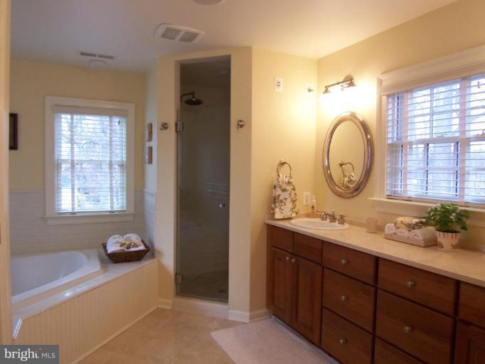 311 Riley Street Falls Church, VA 22046 - Photo 22 of 29 Incredible Master Bath