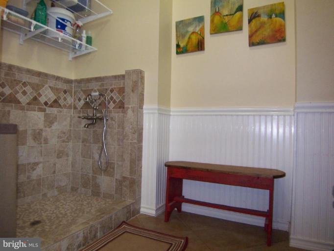 311 Riley Street Falls Church, VA 22046 - Photo 6 of 29 Mud Room w/Dog Shower.