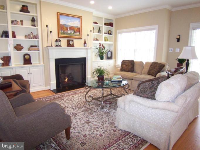 311 Riley Street Falls Church, VA 22046 - Photo 9 of 29 Gas Fireplace and Built In Bookcases.