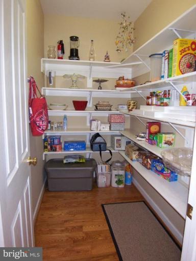 311 Riley Street Falls Church, VA 22046 - Photo 10 of 29 Huge Walk In Pantry.