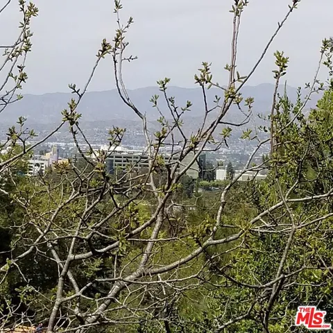 a view of a flower in a garden