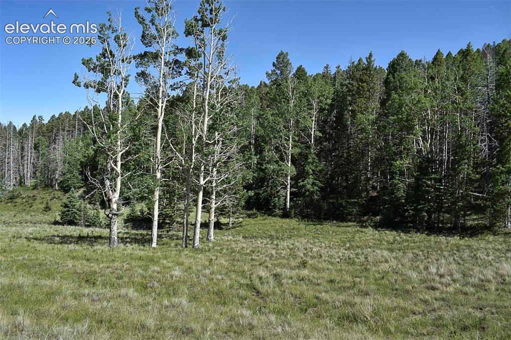 0 Bear Cat Road Guffey, CO 80820 - Photo 12 of 40