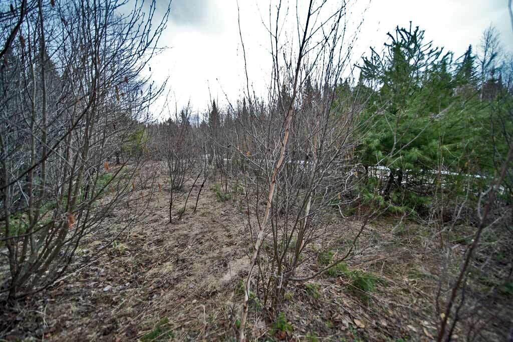 Lot 7 Fire Road Linneus, ME 04730 - Photo 15 of 24 lot-7-fire-rd-land