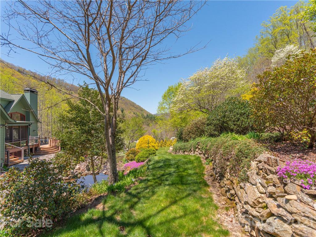 122 Jump Cove Road Weaverville, NC 28787 - Photo 30 of 48 a view of a yard with plants and large trees