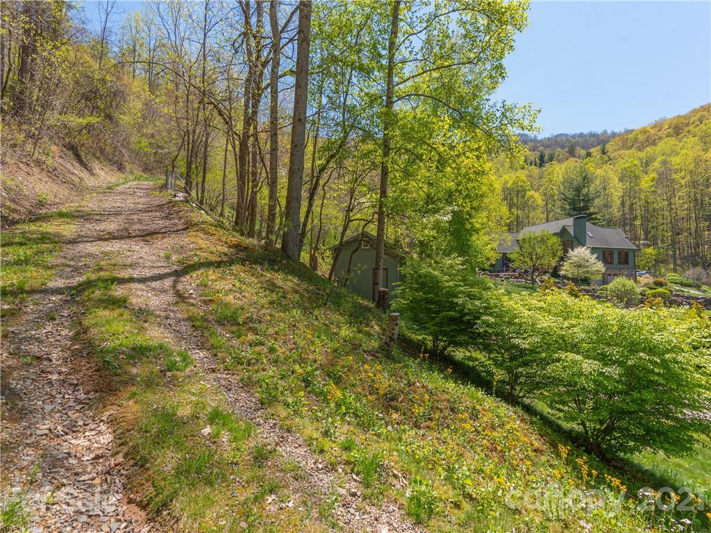 122 Jump Cove Road Weaverville, NC 28787 - Photo 41 of 48 a view of yard with green space