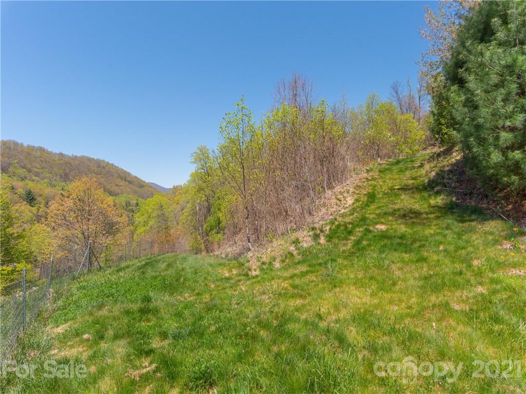 122 Jump Cove Road Weaverville, NC 28787 - Photo 43 of 48 a view of a yard with a mountain