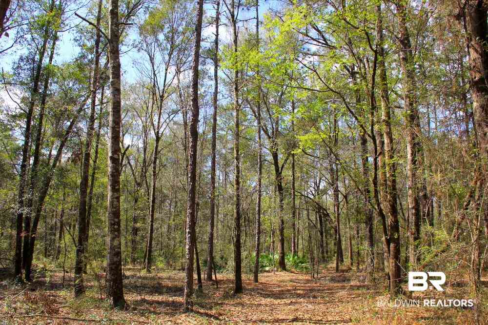 0 County Road 49 Loxley, AL 36551 - Photo 14 of 33