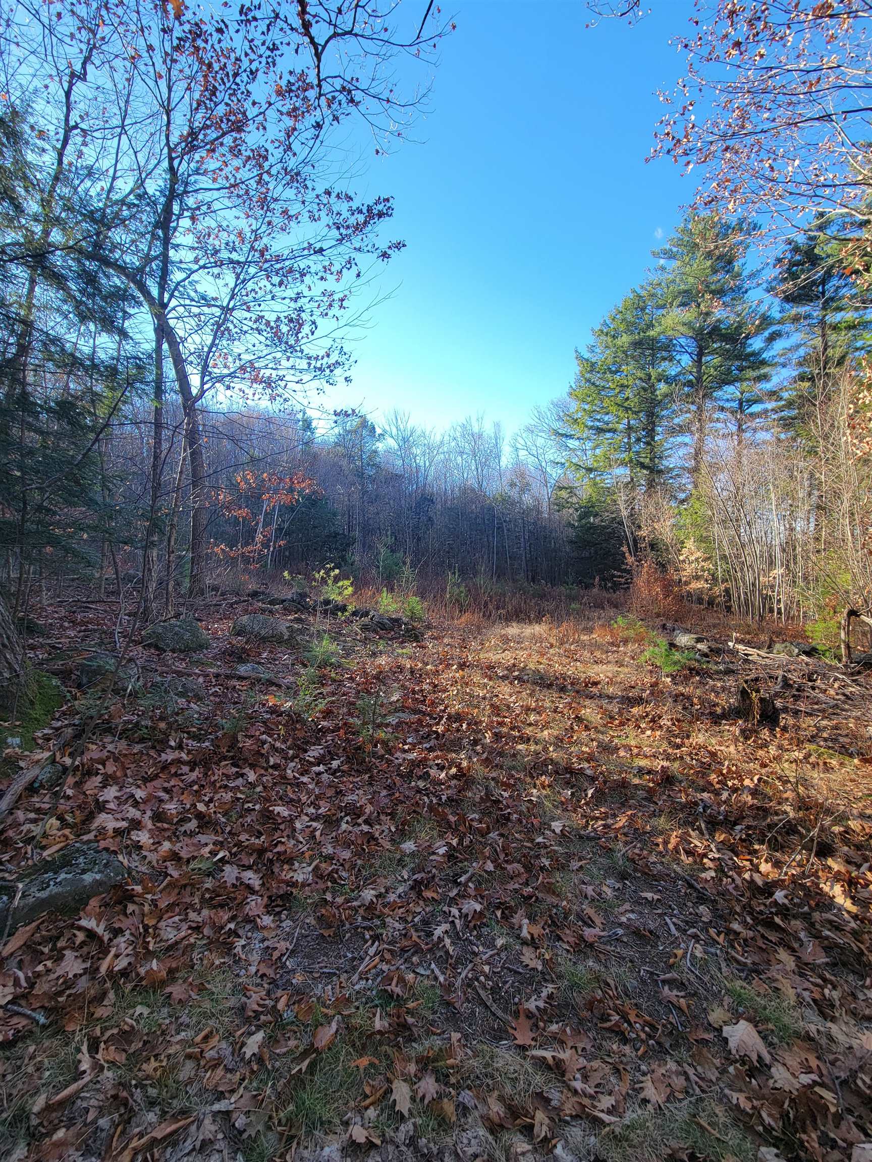Cobb Meadow Road, Unit 6566 Dublin, NH 03444 - Photo 8 of 9 Gallery Image 8