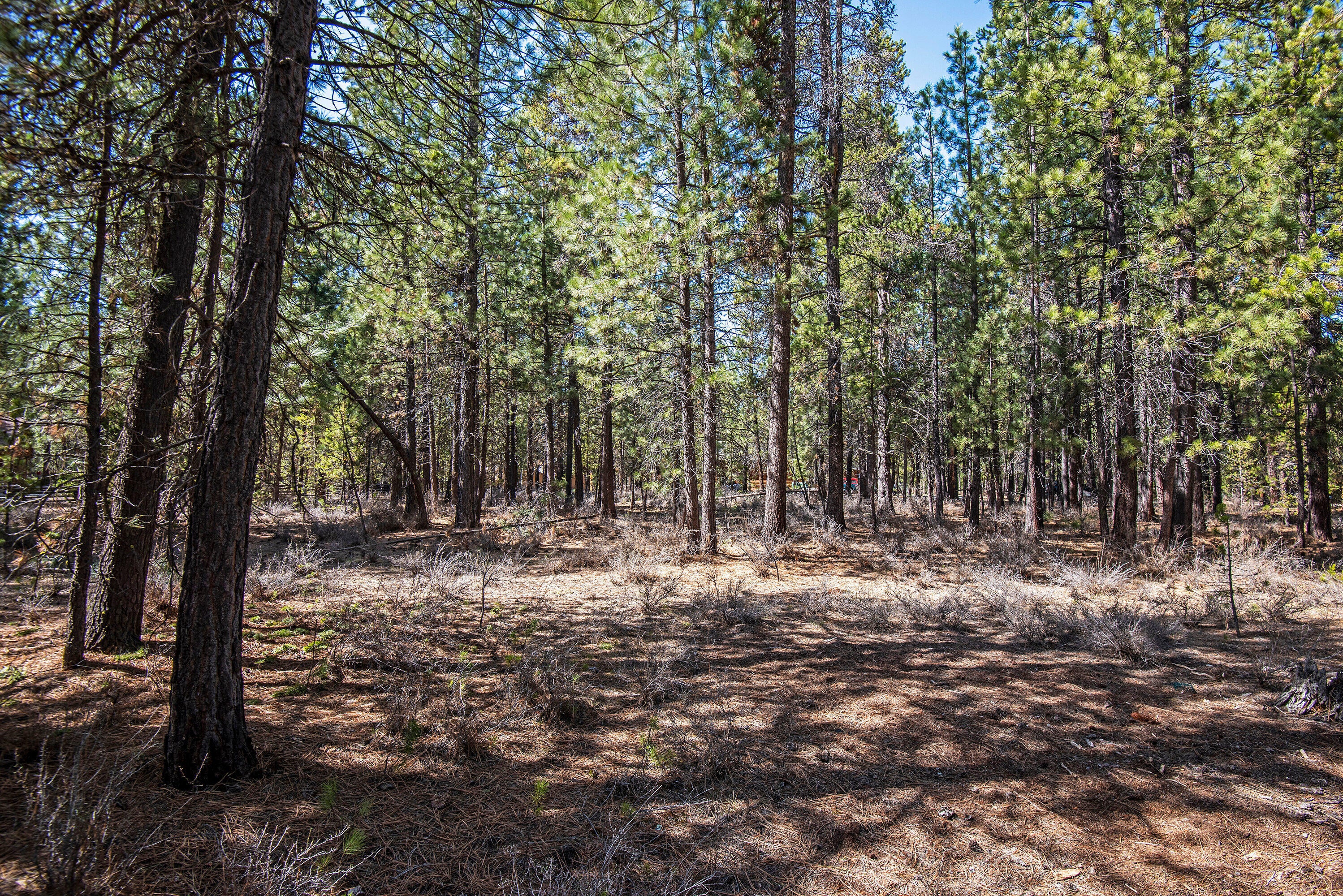 56748 Spring River Loop Bend, OR 97707 - Photo 12 of 17 10