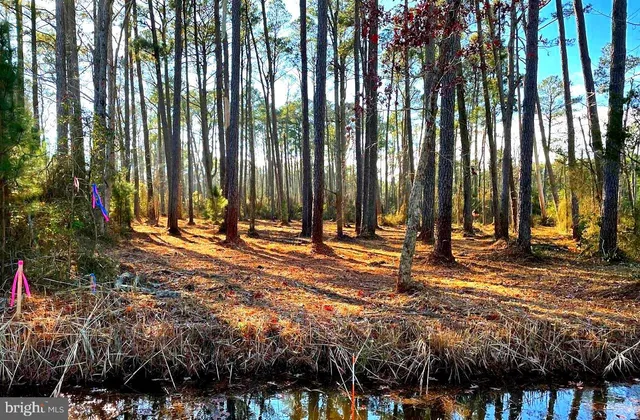 $37,500 | Lot 5 Nevitte Muir Road, Westover, MD 21871