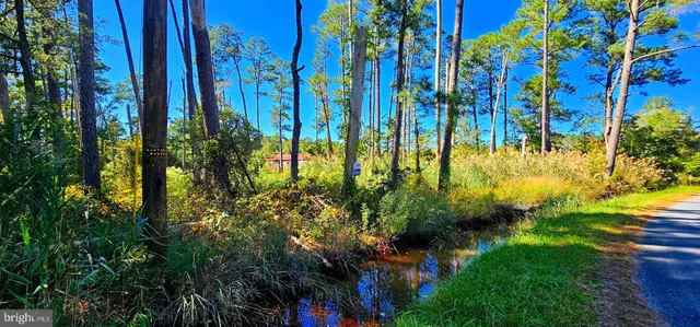 $37,500 | Lot 5 Nevitte Muir Road, Westover, MD 21871