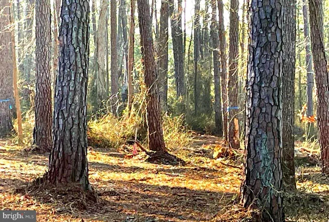 $37,500 | Lot 5 Nevitte Muir Road, Westover, MD 21871