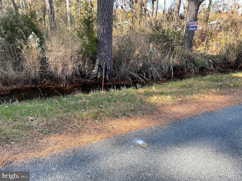 Lot 5 Nevitte Muir Road Westover, MD 21871 - Photo 5 of 9