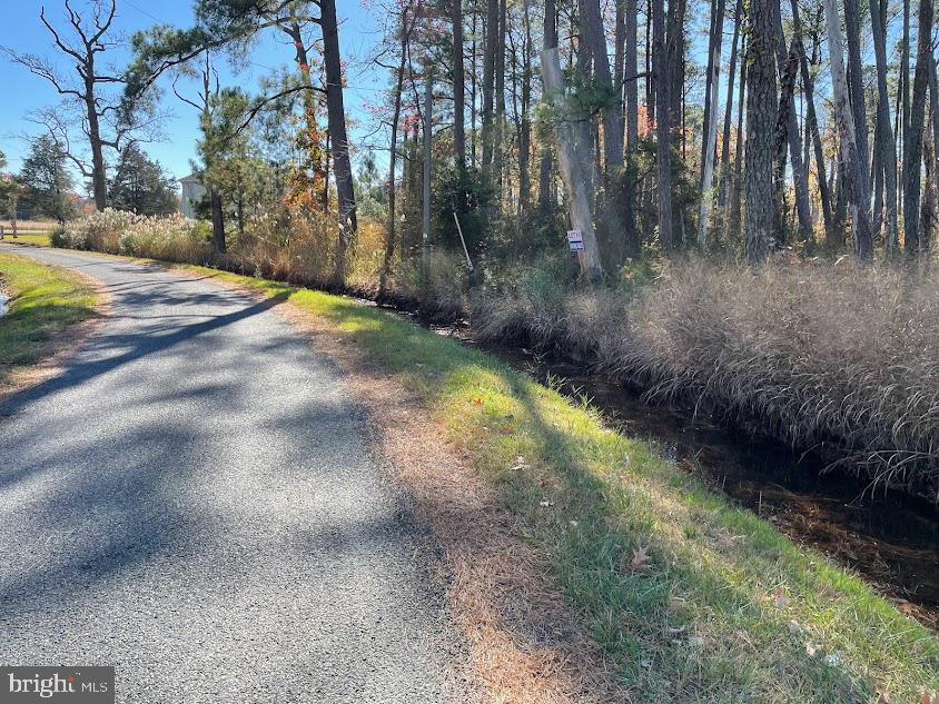 Lot 5 Nevitte Muir Road Westover, MD 21871 - Photo 6 of 9