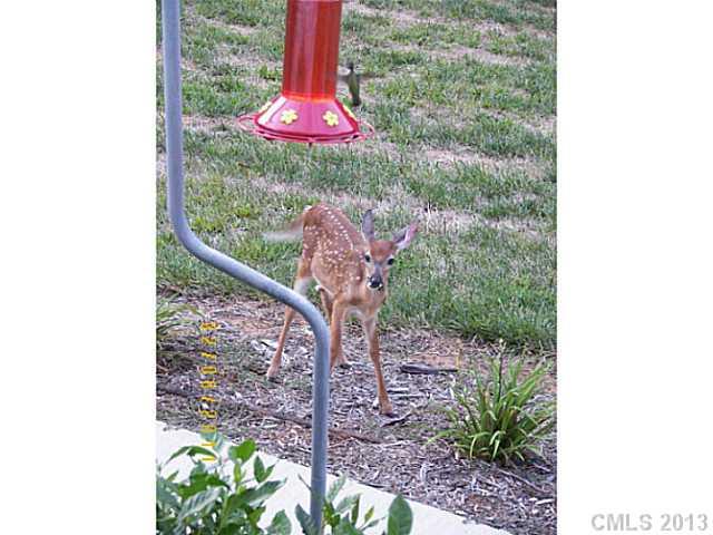 715 Bridle Path Farm Road Cleveland, NC 27013 - Photo 16 of 16