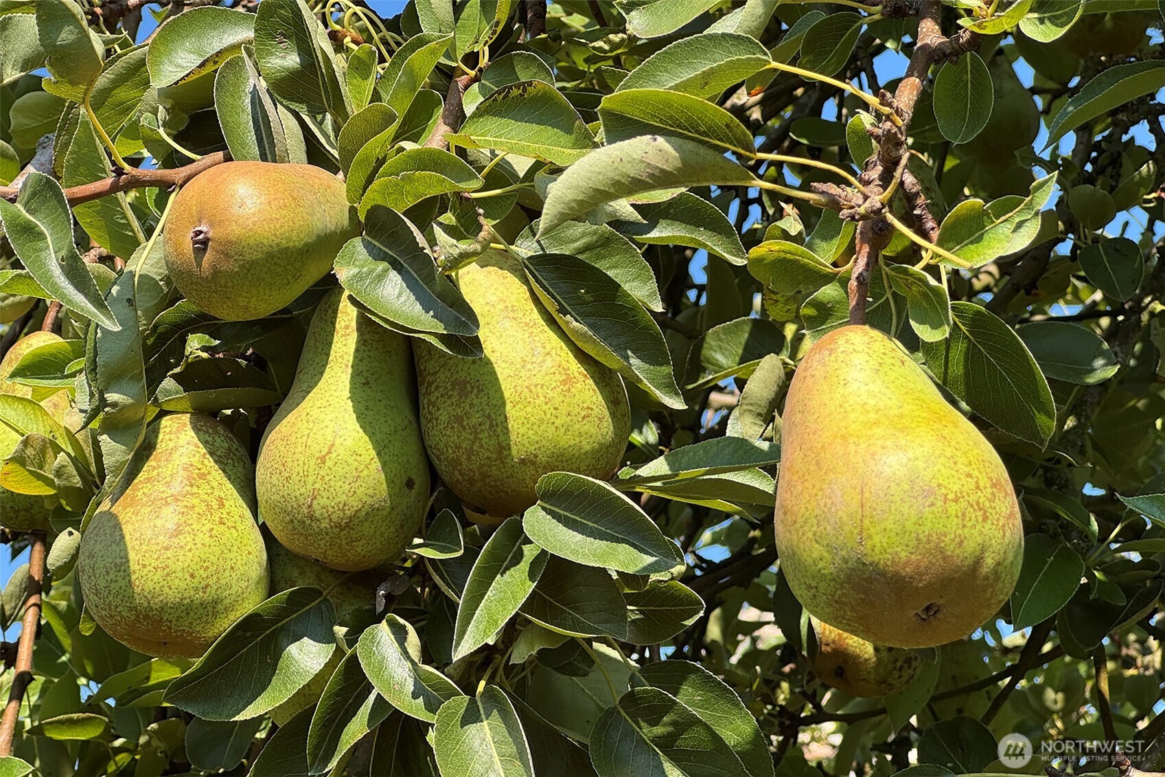 3634 Deer Park Road Port Angeles, WA 98362 - Photo 32 of 40