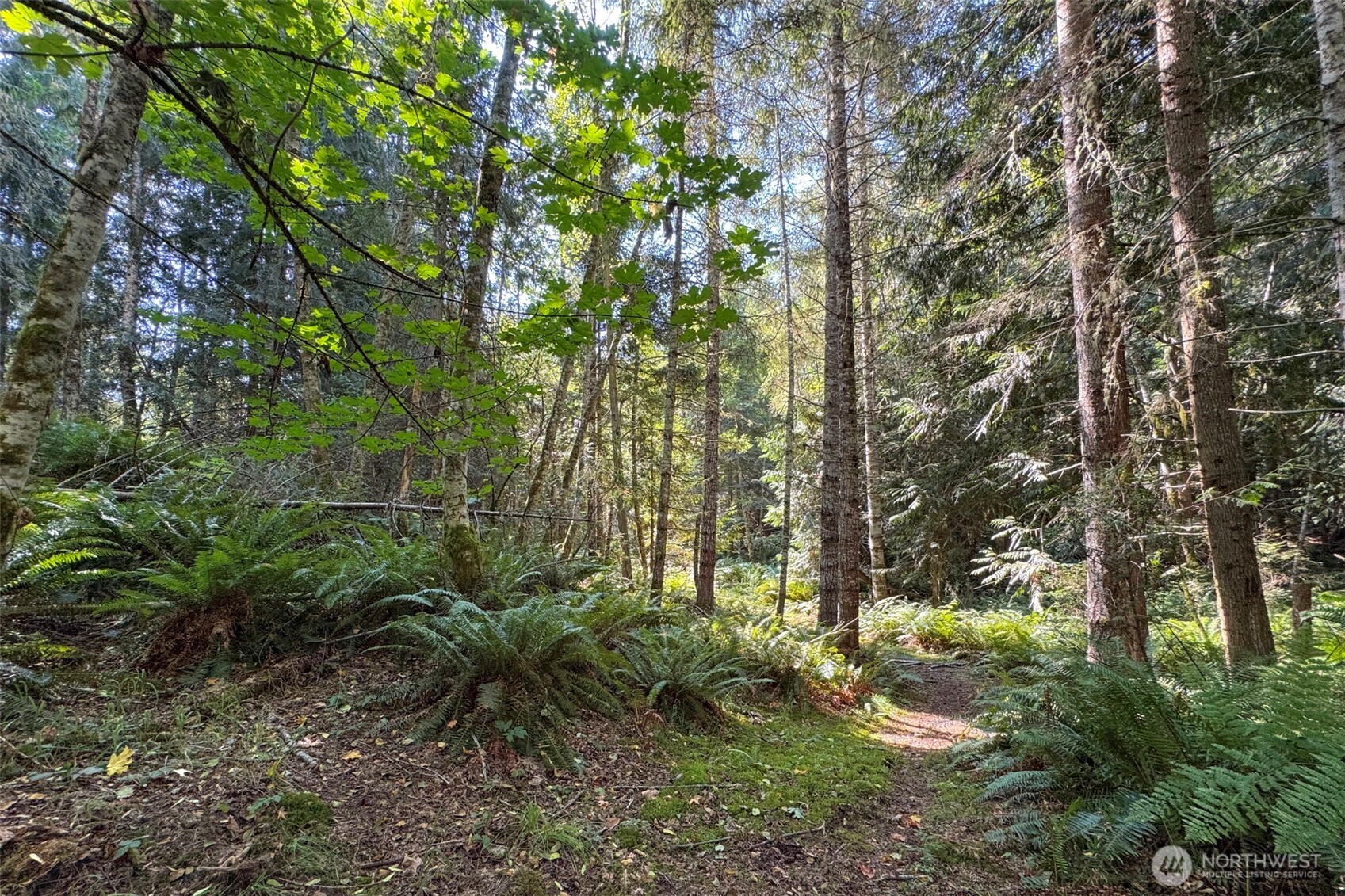 3634 Deer Park Road Port Angeles, WA 98362 - Photo 40 of 40