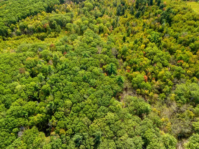 $80,000 | Lot #2 Millay Lane, Union, ME 04862