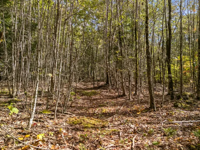 $80,000 | Lot #2 Millay Lane, Union, ME 04862