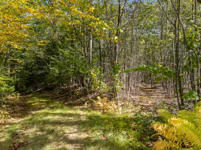 $80,000 | Lot #2 Millay Lane, Union, ME 04862