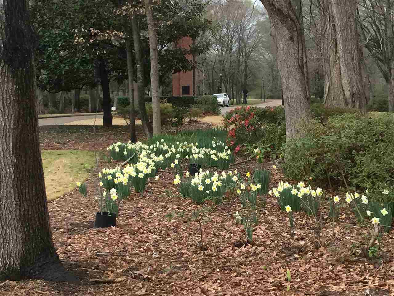 233 Highland Garrison Ridgeland, MS 39157 - Photo 26 of 28 Photo 26
