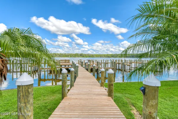 a park with lots of palm trees