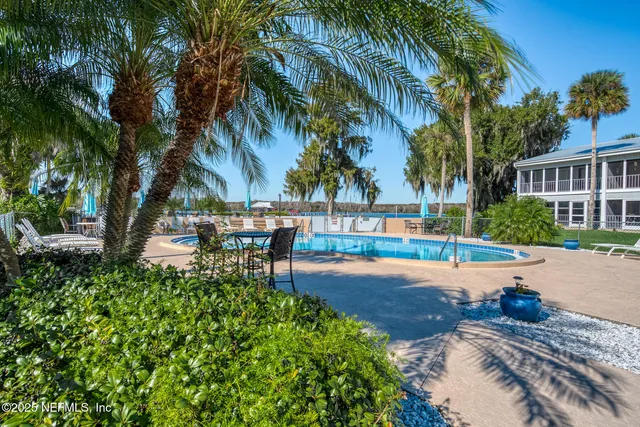 a view of a yard with plants and trees