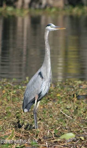 a view of swimming pool