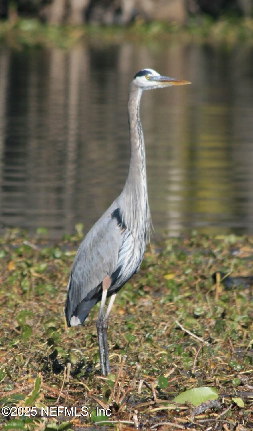 222 River Bend Court, Unit BLDG C Welaka, FL 32193 - Photo 45 of 49 a close view of tap