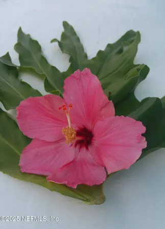 a view of swimming pool with outdoor seating