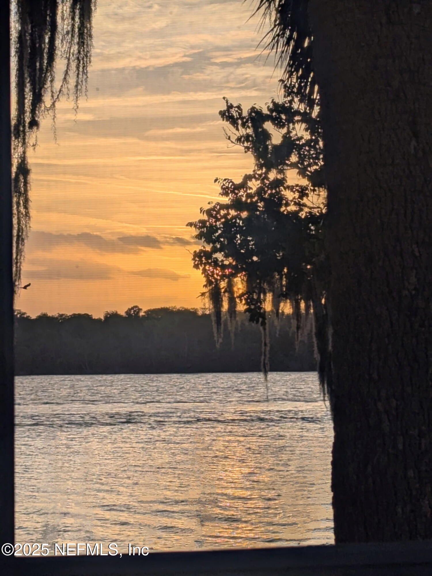 222 River Bend Court, Unit BLDG C Welaka, FL 32193 - Photo 47 of 49 a view of swimming pool