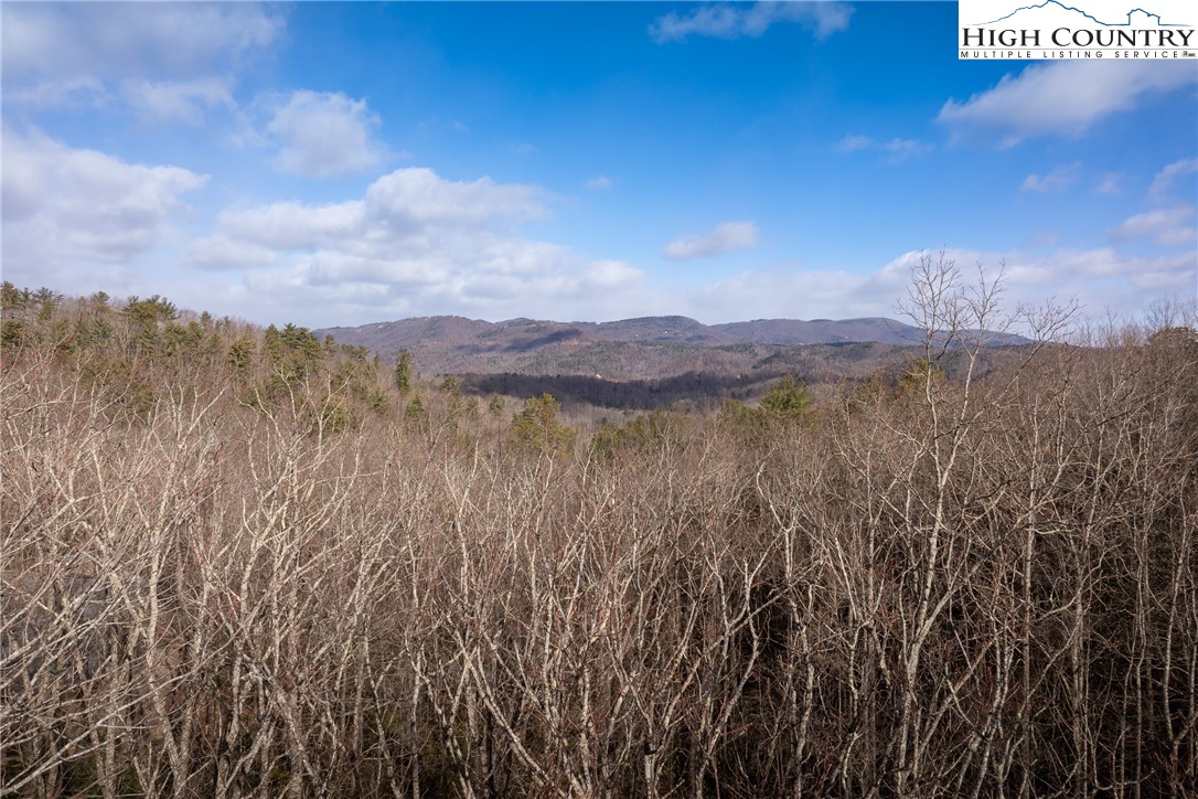 180 Marigold Road Boone, NC 28607 - Photo 11 of 50