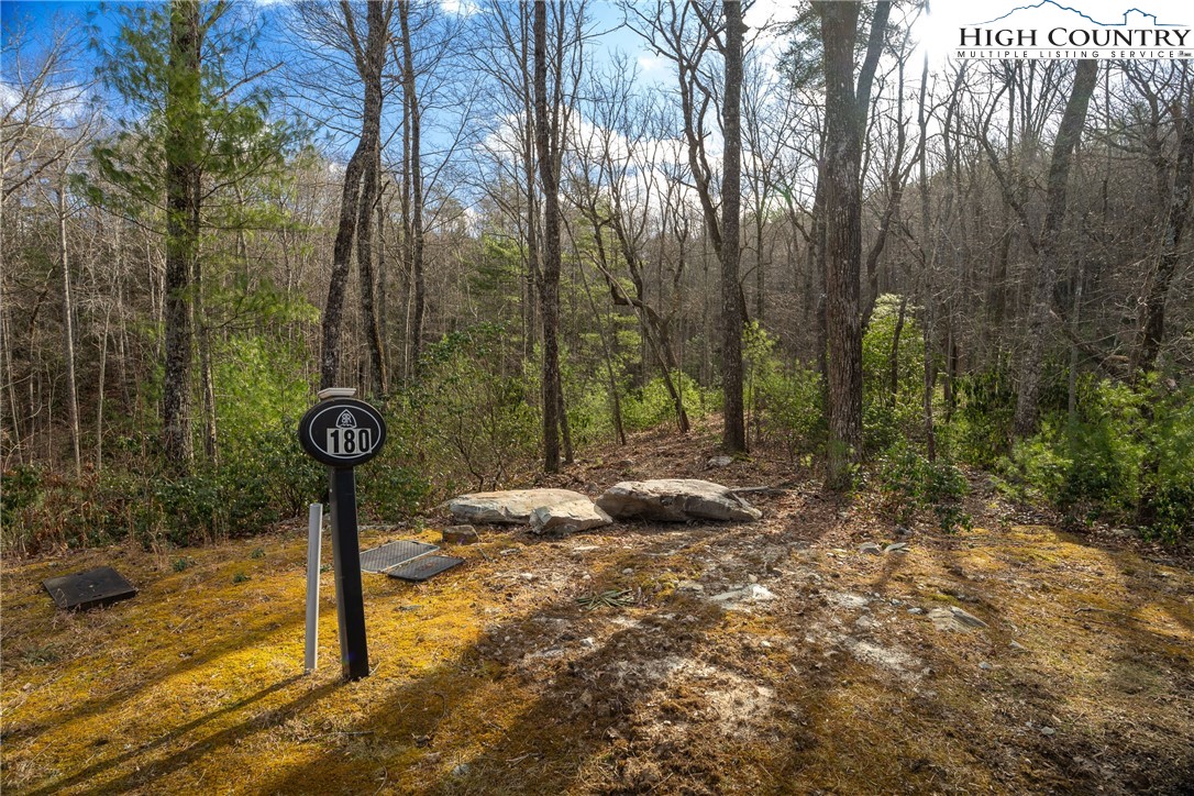 180 Marigold Road Boone, NC 28607 - Photo 4 of 50