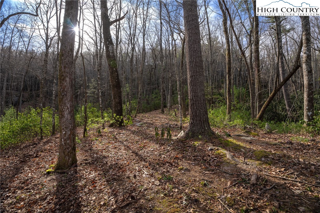 180 Marigold Road Boone, NC 28607 - Photo 5 of 50