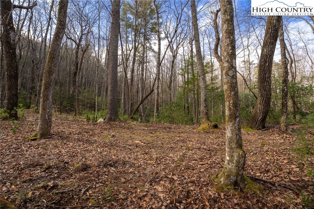 180 Marigold Road Boone, NC 28607 - Photo 7 of 50