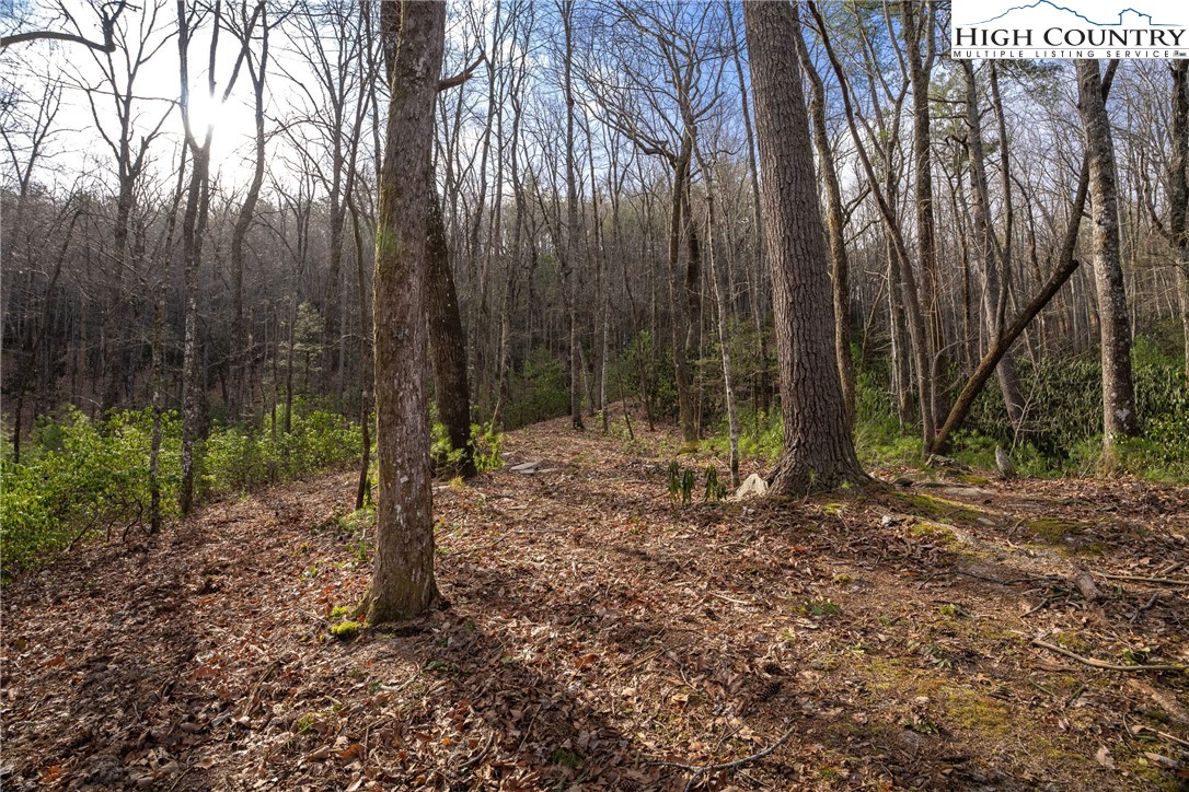 180 Marigold Road Boone, NC 28607 - Photo 8 of 50