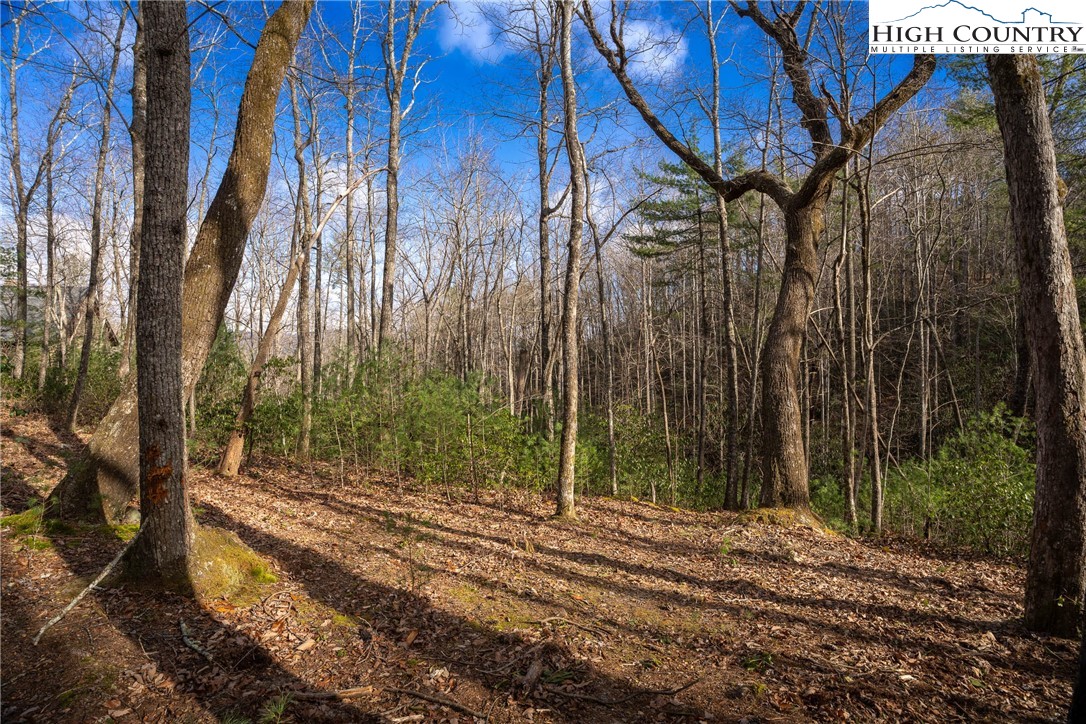 180 Marigold Road Boone, NC 28607 - Photo 9 of 50