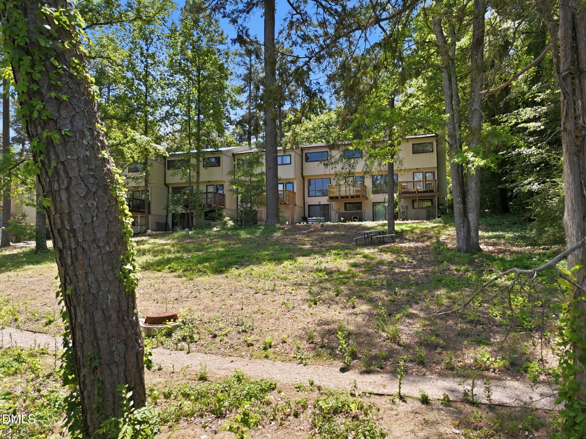 5043 Tall Pines Court Raleigh, NC 27609 - Photo 36 of 37 a view of a yard with plants and trees